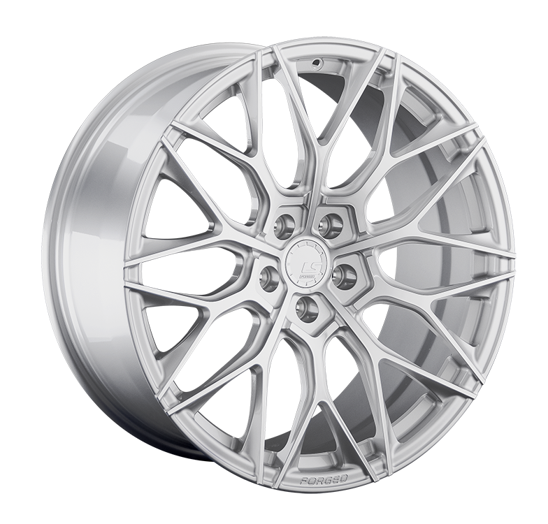 LS FG10
