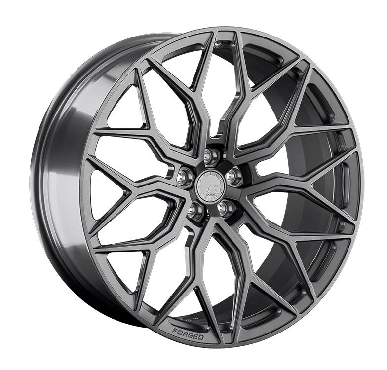LS FG13